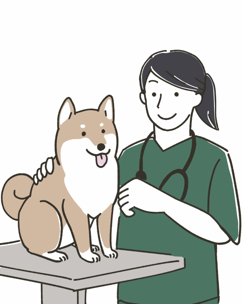 AdobeStock_501239365 Avatar Veterinaria