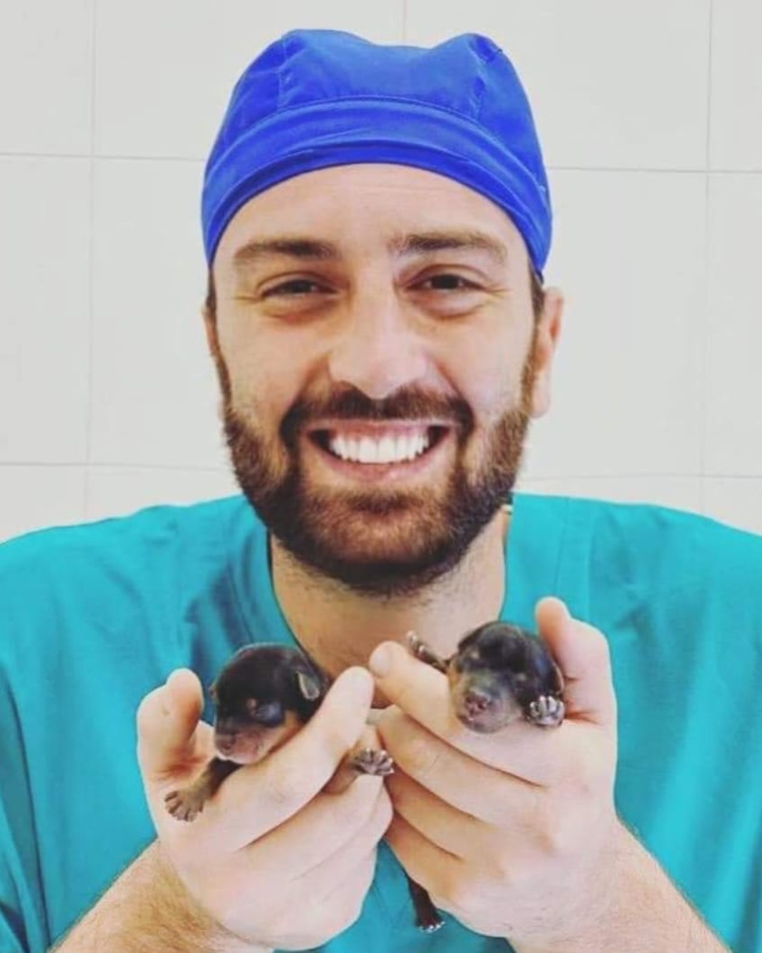 Dott. Andrea Matrullo, Medico Veterinario del Vet Village a Napoli