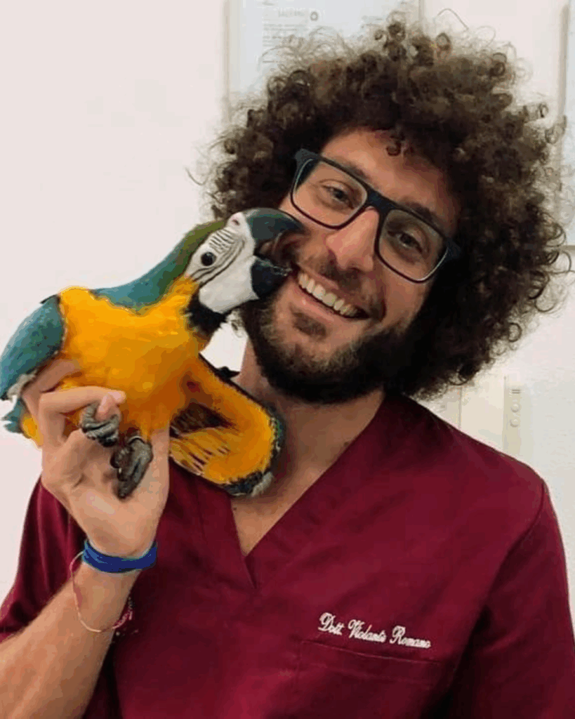 Dott. Violante Romano Dott. Violante Romano, Medico Veterinario del Vet Village a Napoli esperto in animali esotici