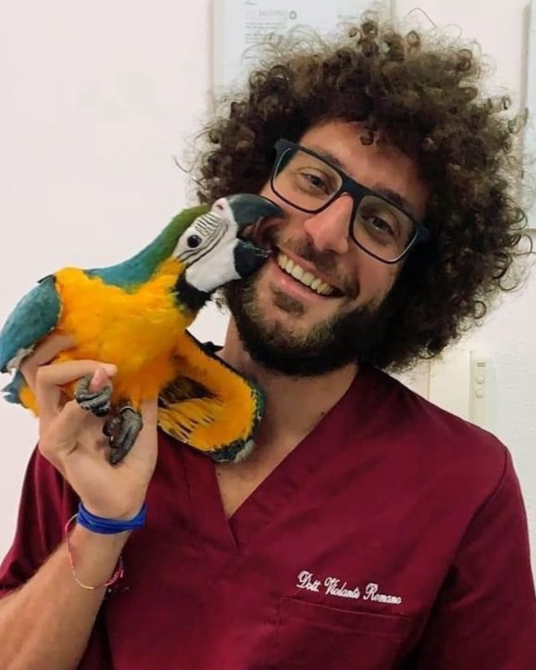 Dott. Violante Romano, Medico Veterinario del Vet Village a Napoli esperto in animali esotici