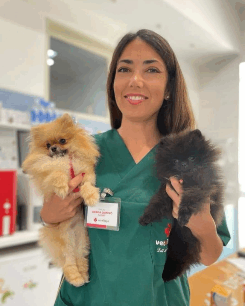 Dott.ssa Giorgia Dionisio Dott.ssa Giorgia Dionisio, Medico Veterinario del Vet Village a Napoli