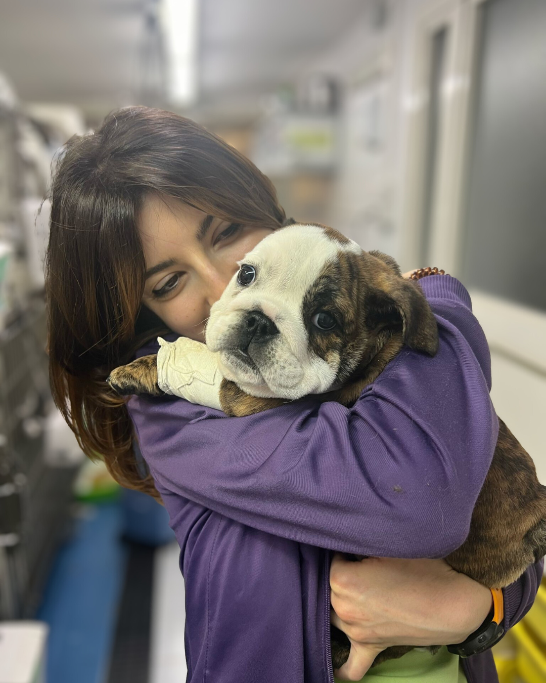 Dott.ssa Maria Domenica Filazzola, Medico Veterinario del Vet Village a Napoli