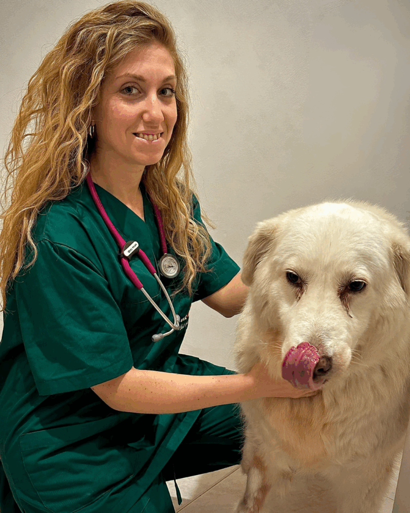 Dott.ssa Valeria Caruso Dott.ssa Valeria Caruso, Medico Veterinario del Vet Village a Napoli